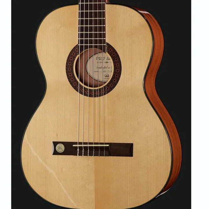 Gewa Pro Arte GC100A