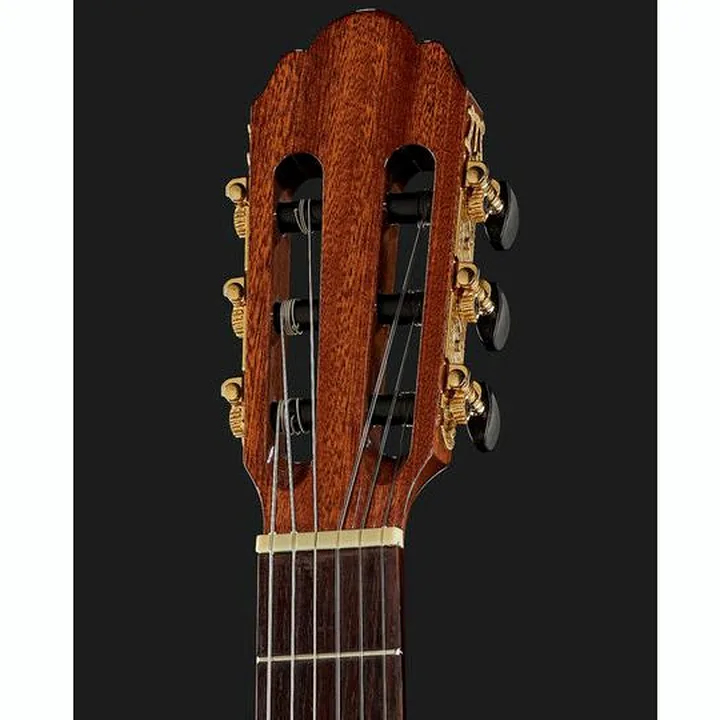 Gewa Pro Arte GC100A