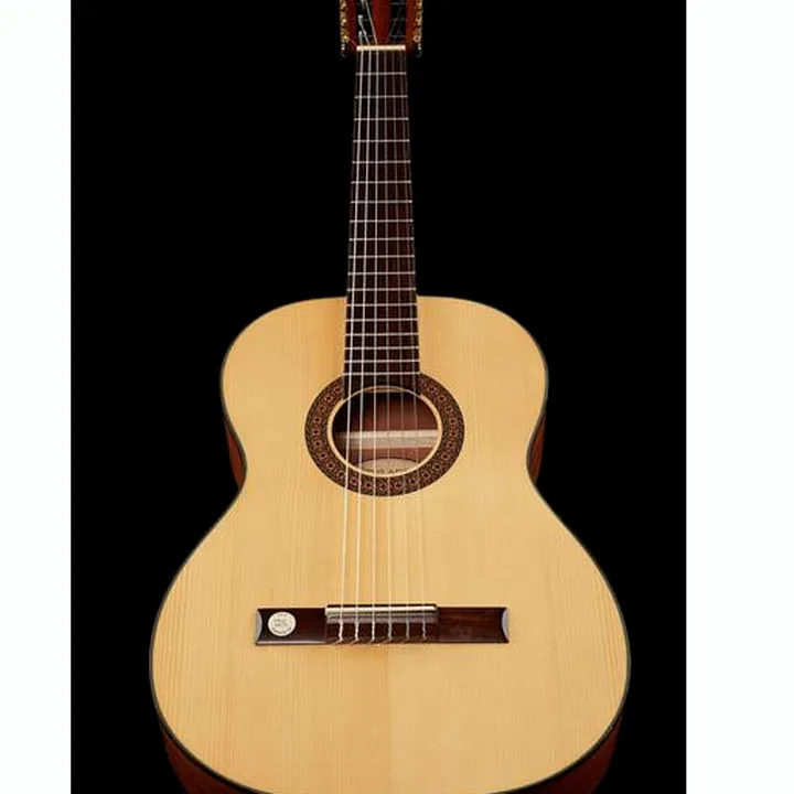 Gewa Pro Arte GC100A