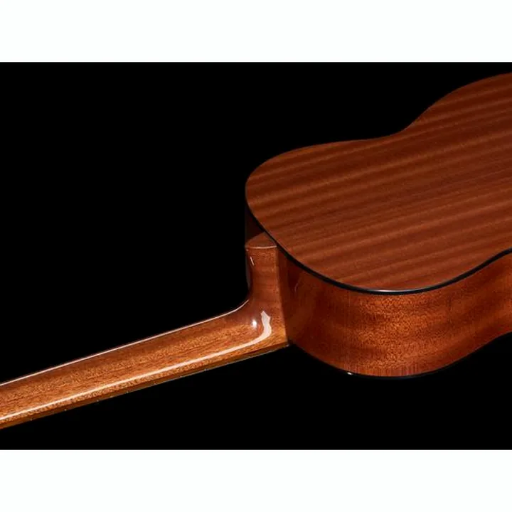 Gewa Pro Arte GC210A