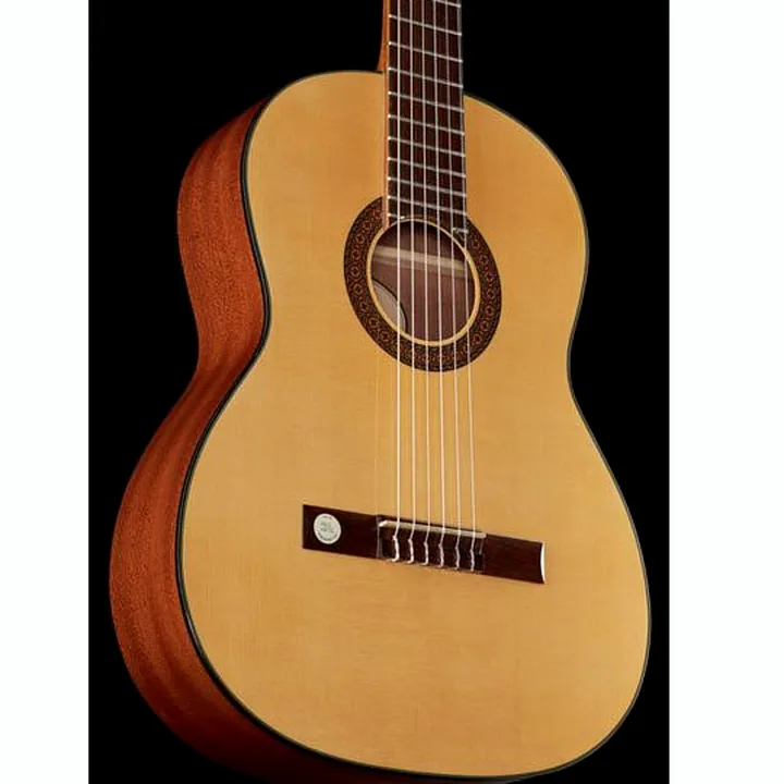 Gewa Pro Arte GC210A