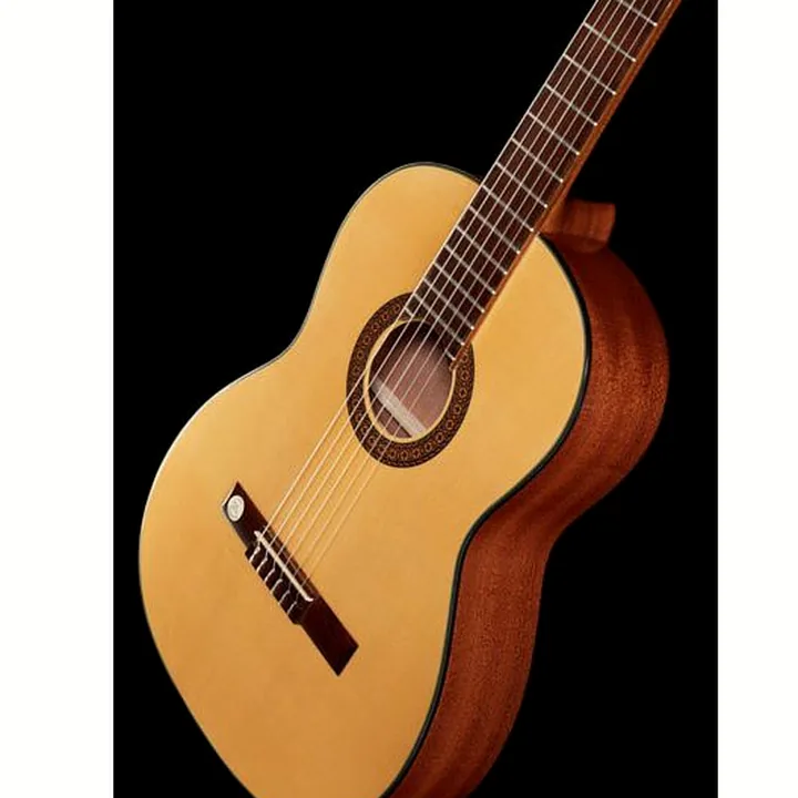 Gewa Pro Arte GC210A