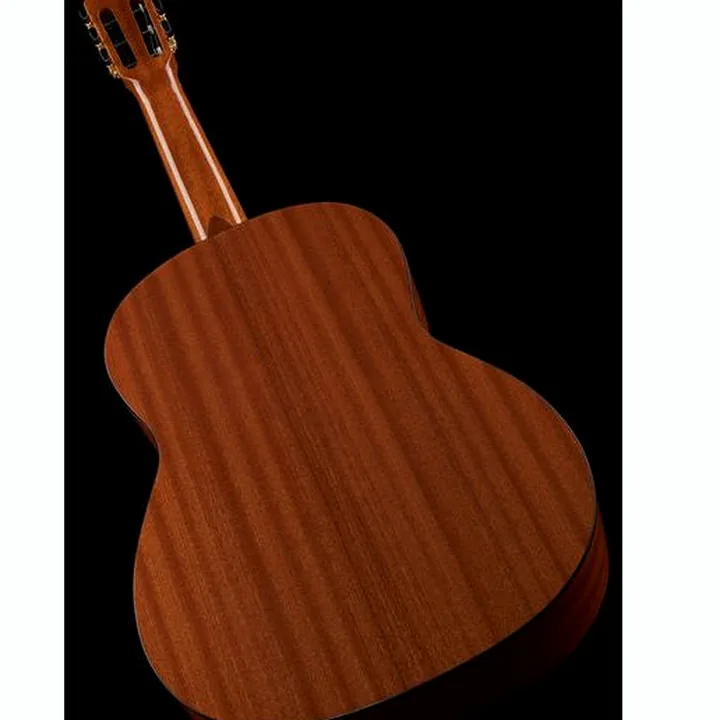 Gewa Pro Arte GC210A