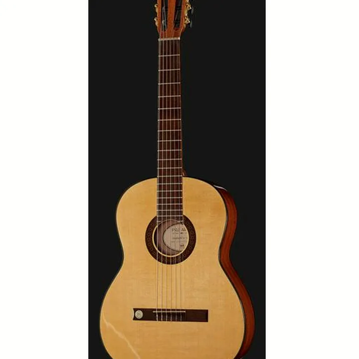 Gewa Pro Arte GC210A