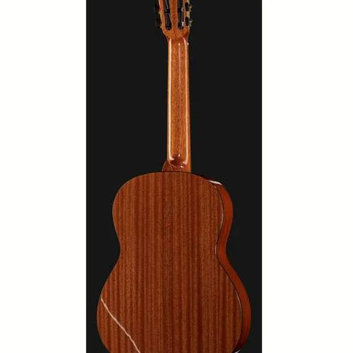 Gewa Pro Arte GC210A