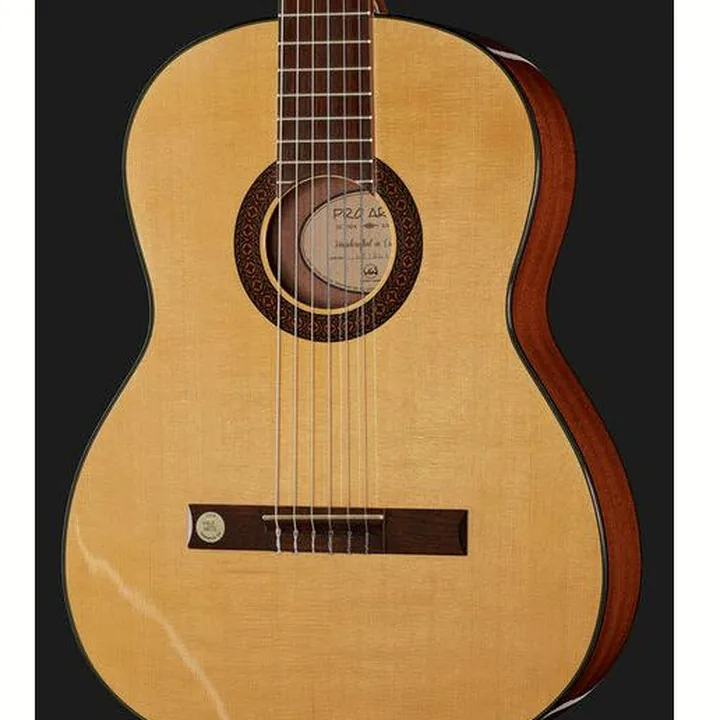 Gewa Pro Arte GC210A