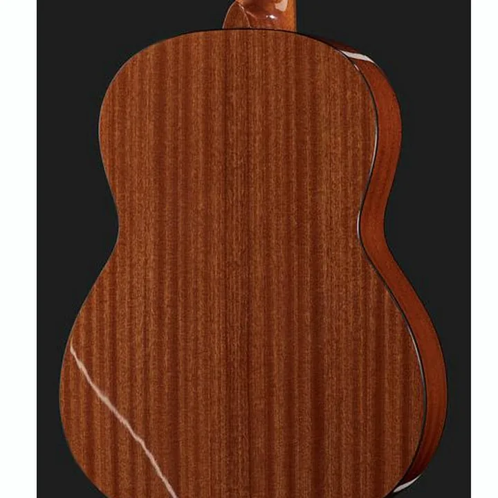Gewa Pro Arte GC210A