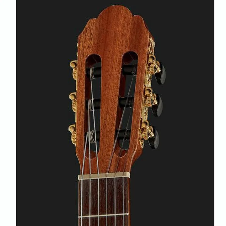 Gewa Pro Arte GC210A
