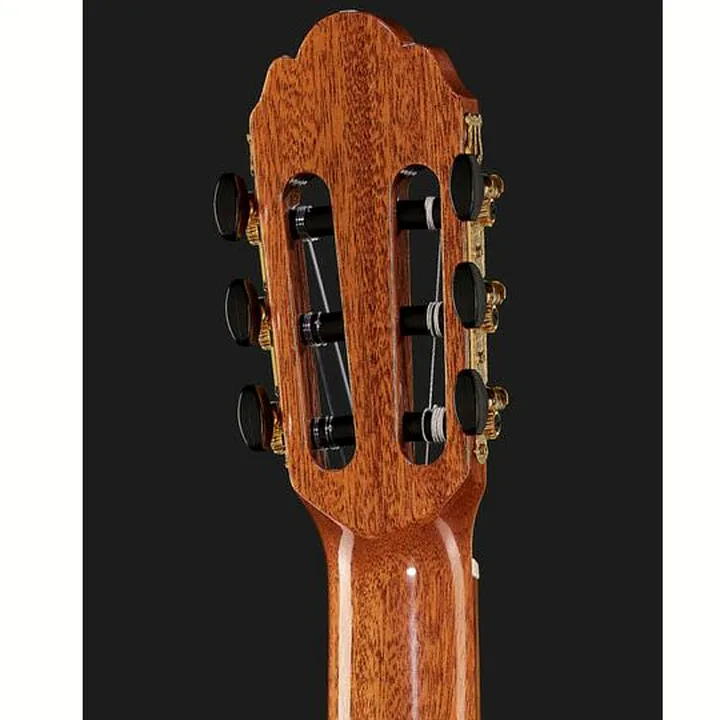 Gewa Pro Arte GC210A