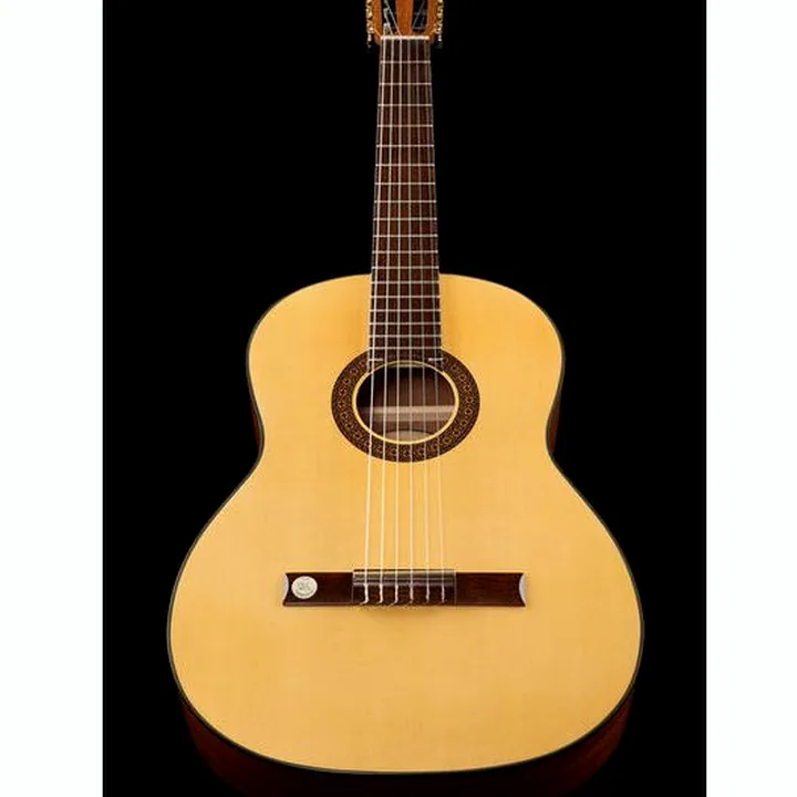 Gewa Pro Arte GC210A