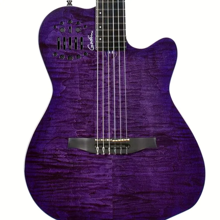 Godin ACS Nylon Steve Stevens 25th