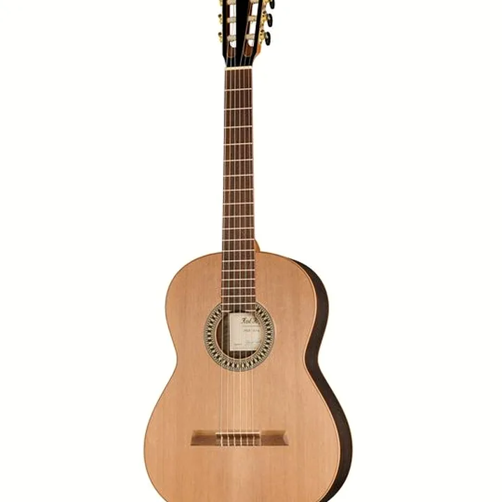 Höfner HLE-EUZ24 Cedar/Eucalyptus, guitarra acústica edición limitada