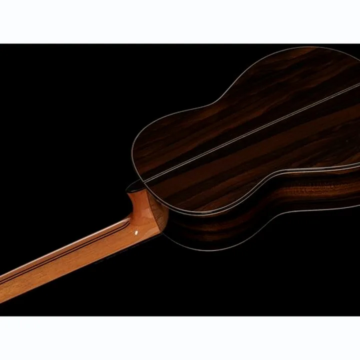 Hanika 7-Meister Concertguitar