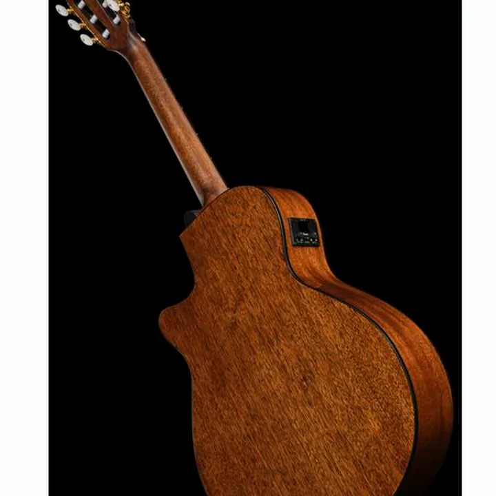 Ibanez AEG50N-BKH Nylon