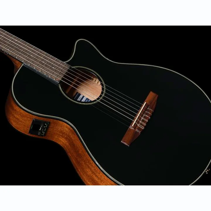 Ibanez AEG50N-BKH Nylon