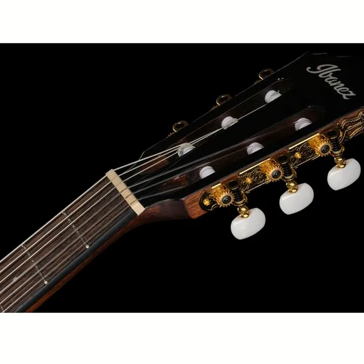 Ibanez AEG50N-BKH Nylon