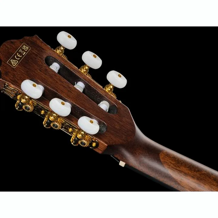 Ibanez AEG50N-BKH Nylon