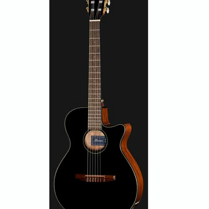 Ibanez AEG50N-BKH Nylon