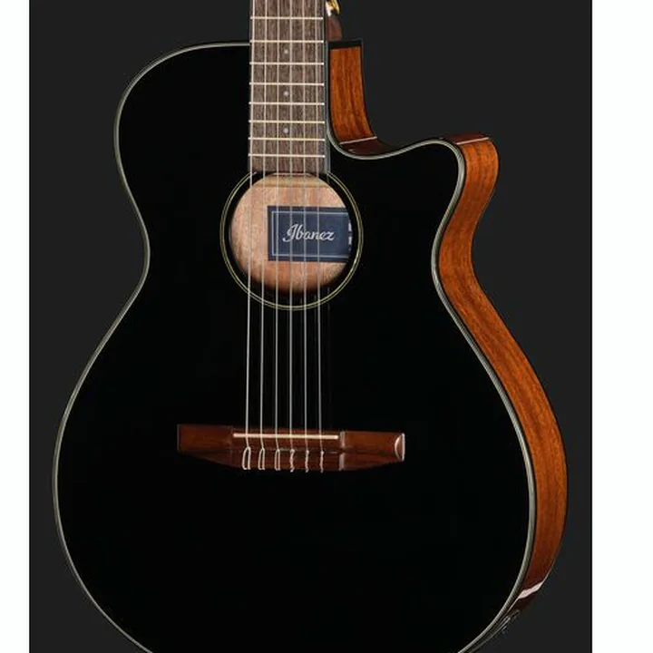 Ibanez AEG50N-BKH Nylon