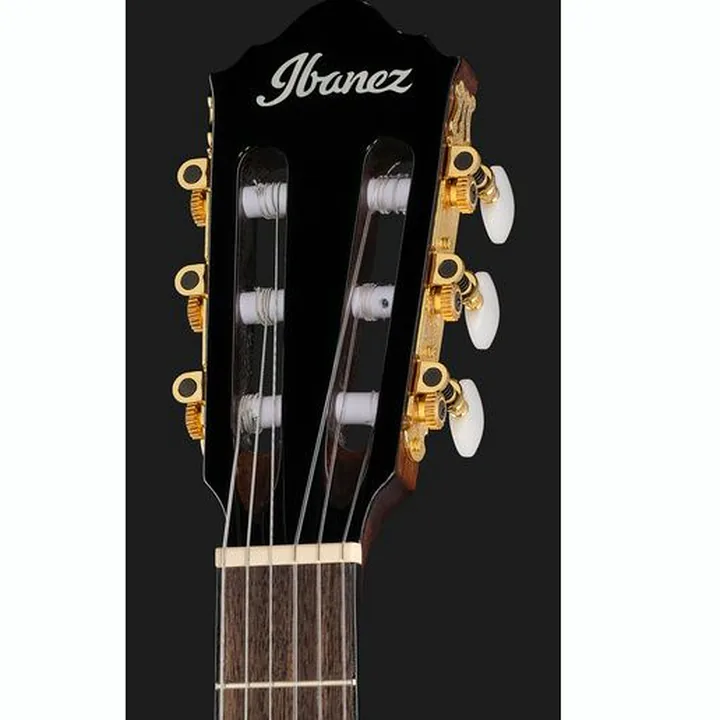 Ibanez AEG50N-BKH Nylon
