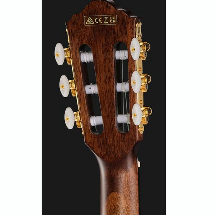 Ibanez AEG50N-BKH Nylon