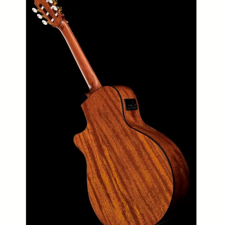 Ibanez AEG50N-NT Nylon