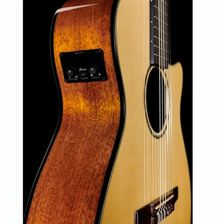 Ibanez AEG50N-NT Nylon