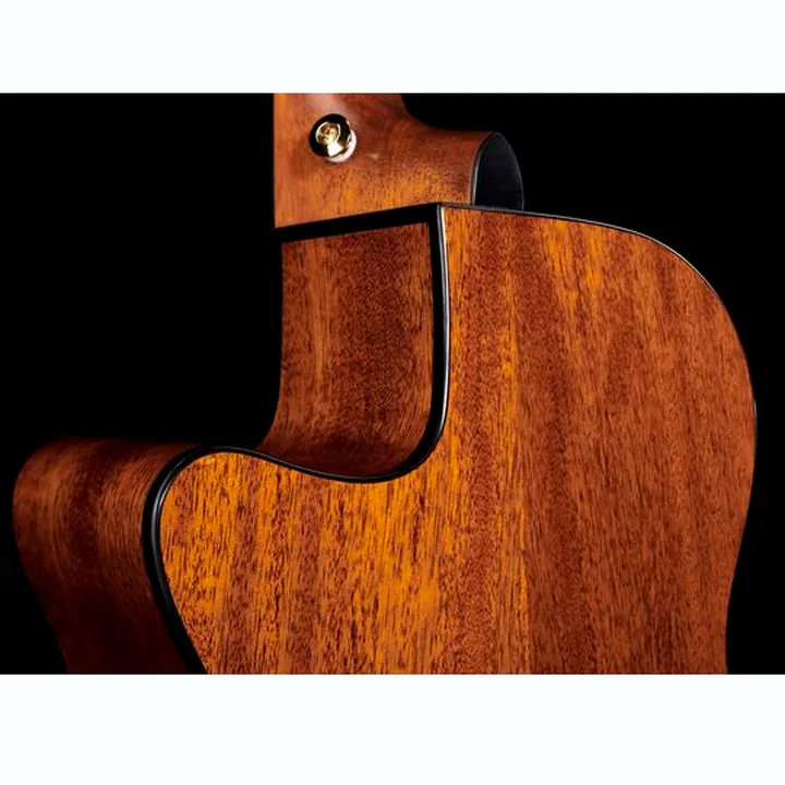 Ibanez AEG50N-NT Nylon
