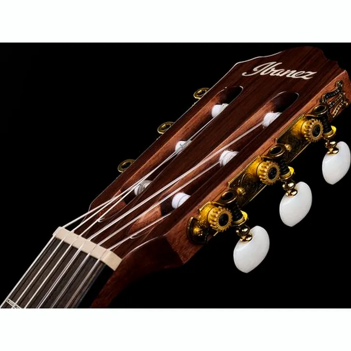 Ibanez AEG50N-NT Nylon
