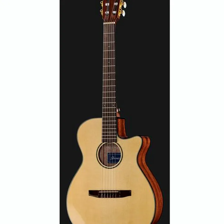 Ibanez AEG50N-NT Nylon