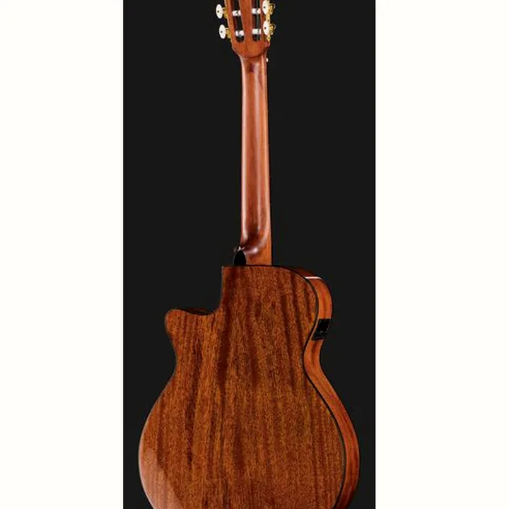 Ibanez AEG50N-NT Nylon