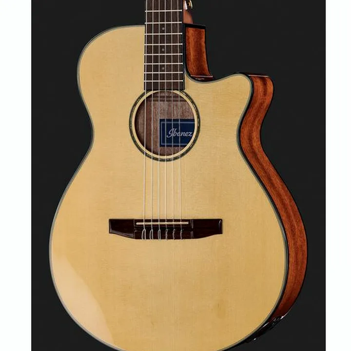 Ibanez AEG50N-NT Nylon