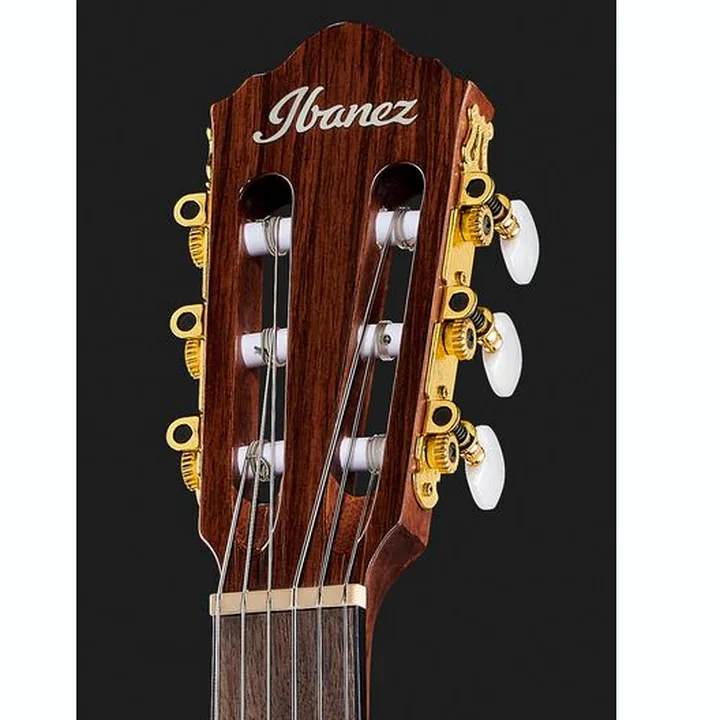 Ibanez AEG50N-NT Nylon