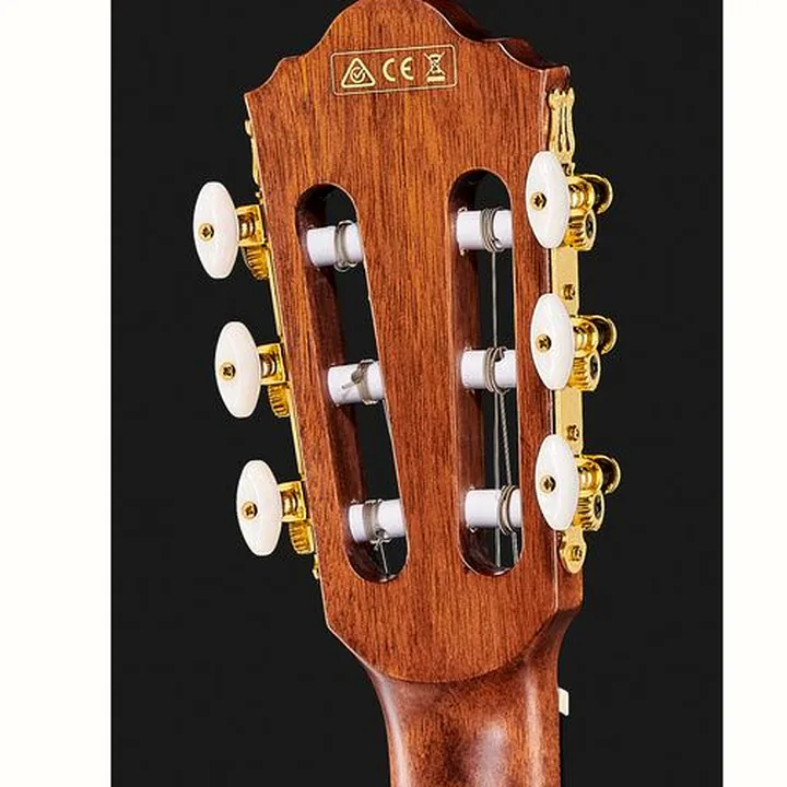Ibanez AEG50N-NT Nylon