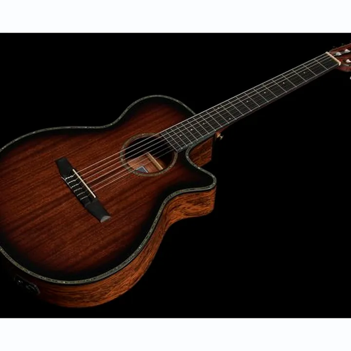 Ibanez AEG74N-MHS