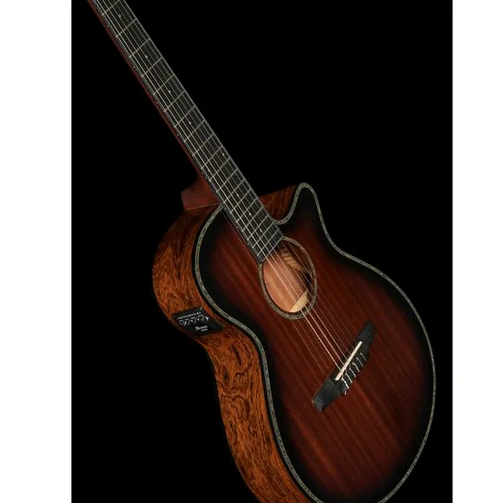 Ibanez AEG74N-MHS