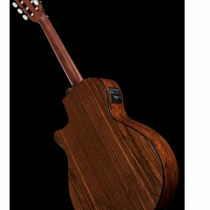 Ibanez AEG74N-MHS