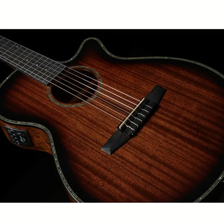 Ibanez AEG74N-MHS