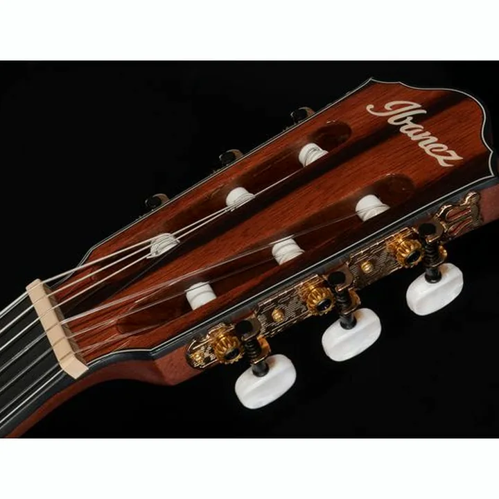 Ibanez AEG74N-MHS