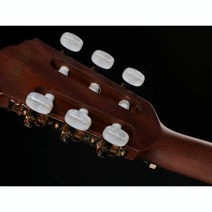 Ibanez AEG74N-MHS