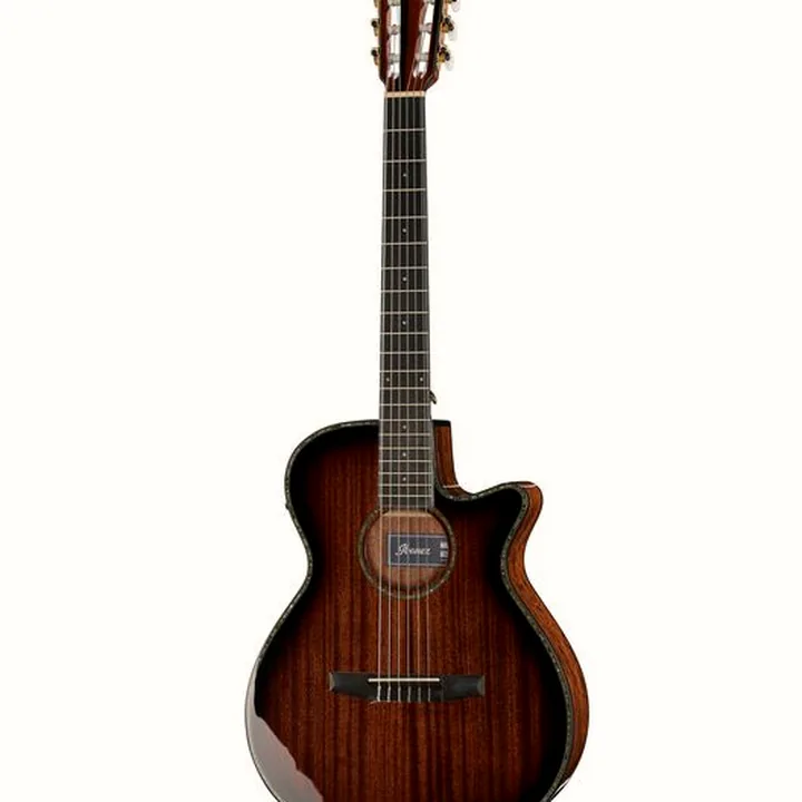 Ibanez AEG74N-MHS, reseña de una guitarra clásica
