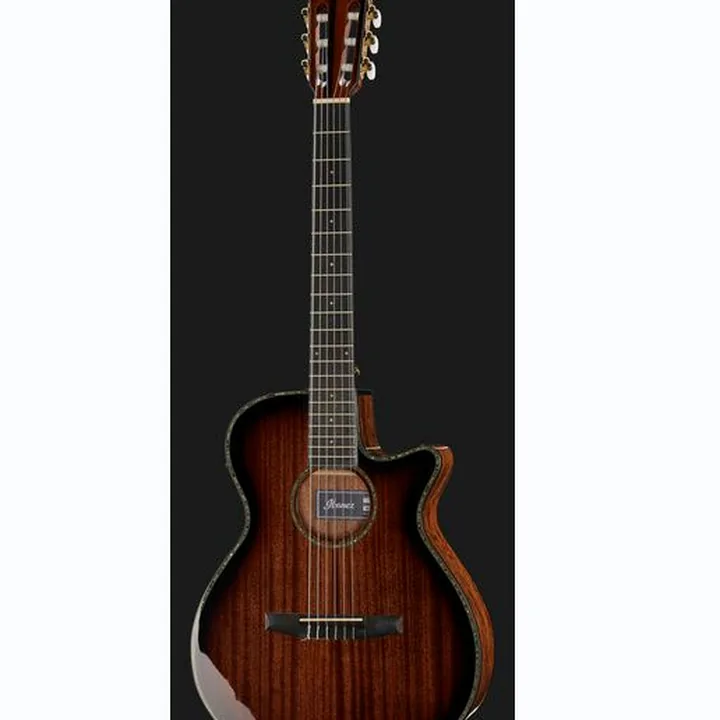 Ibanez AEG74N-MHS