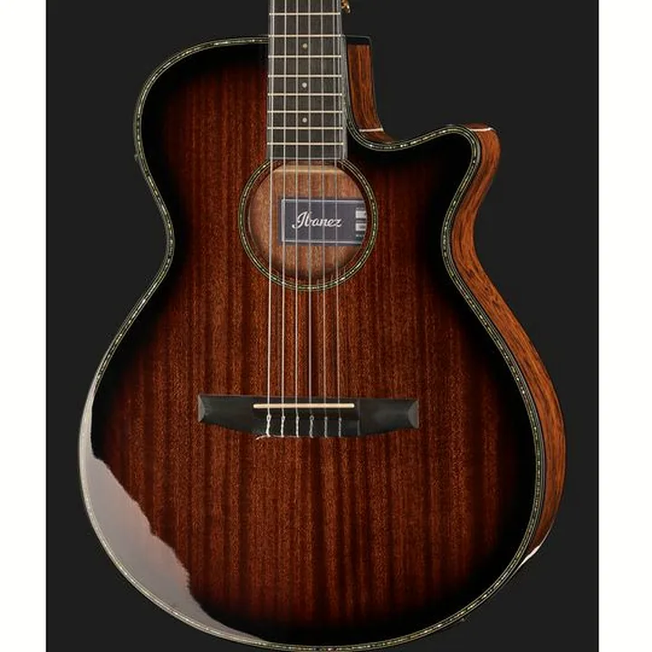 Ibanez AEG74N-MHS