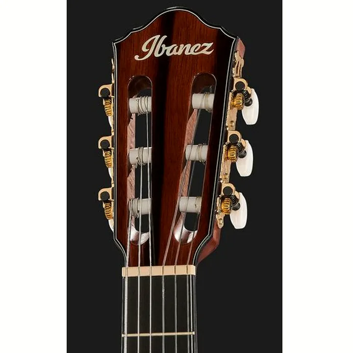 Ibanez AEG74N-MHS