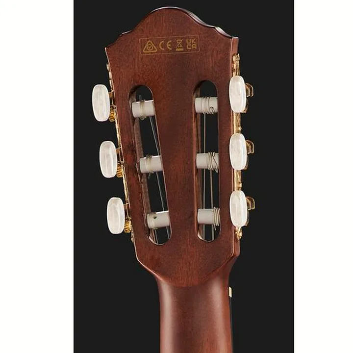 Ibanez AEG74N-MHS