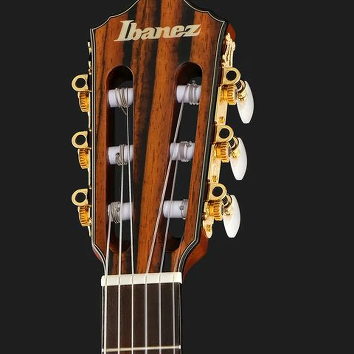 Ibanez FRH10N-NTF