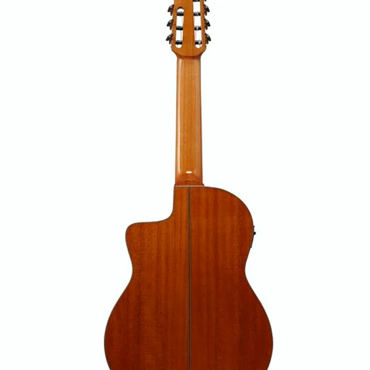 Ibanez GA3007CE-NT