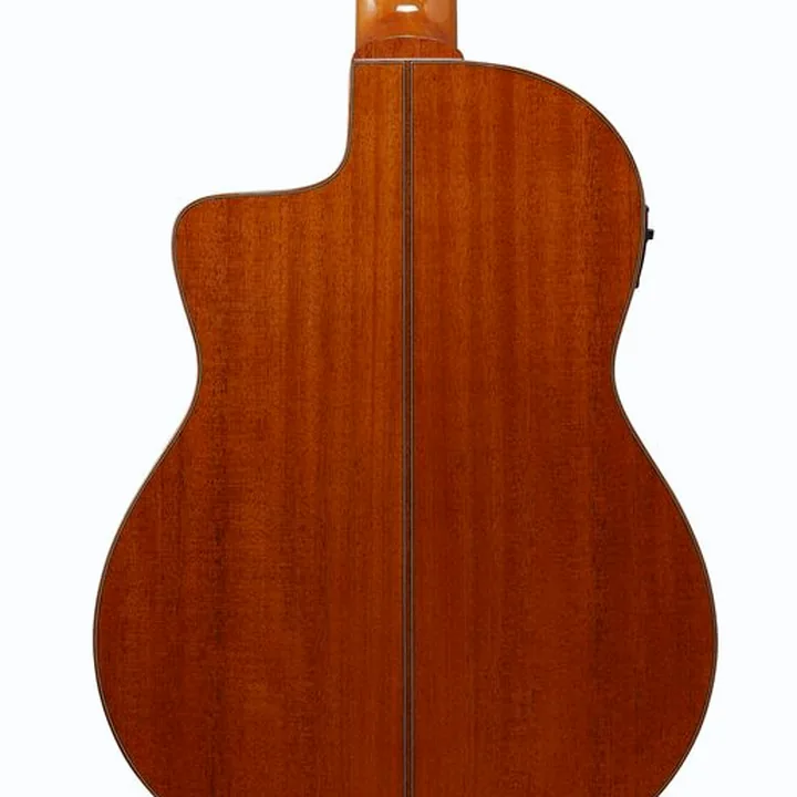 Ibanez GA3007CE-NT