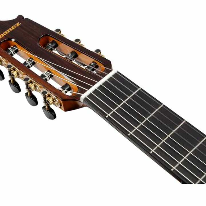 Ibanez GA3007CE-NT