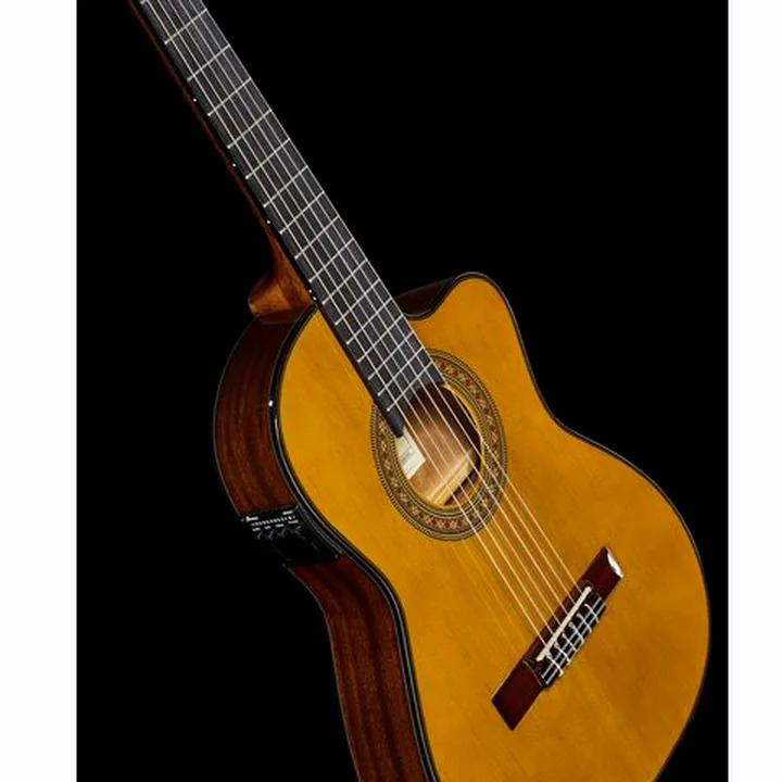 Ibanez GA5TCE3Q-AM